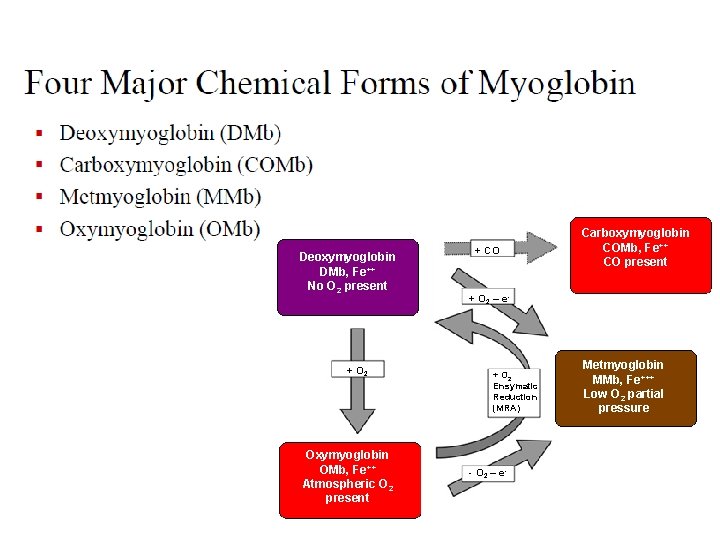 Deoxymyoglobin DMb, Fe++ No O 2 present + O 2 Oxymyoglobin OMb, Fe++ Atmospheric
