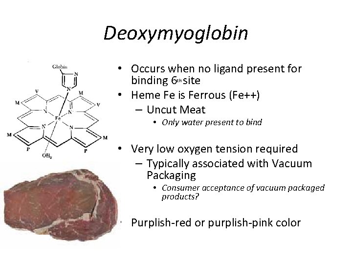 Deoxymyoglobin • Occurs when no ligand present for binding 6 site • Heme Fe