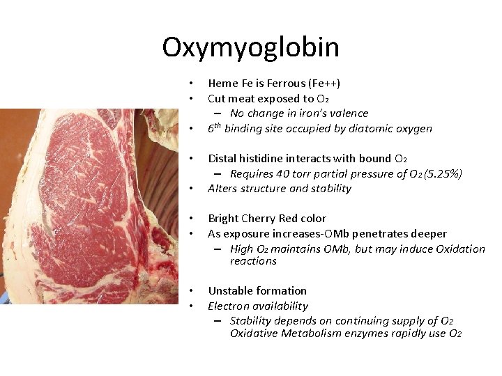 Oxymyoglobin • • • Heme Fe is Ferrous (Fe++) Cut meat exposed to O