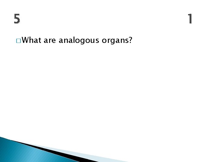 5 � What 1 are analogous organs? 