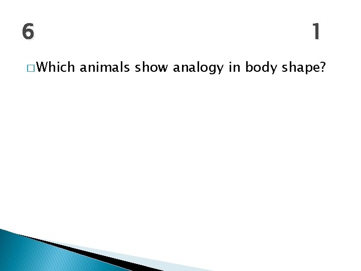 6 � Which 1 animals show analogy in body shape? 