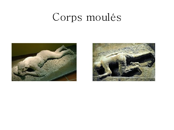 Corps moulés 