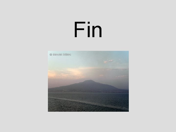 Fin 