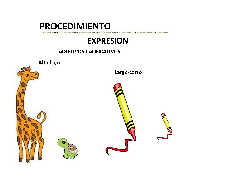 PROCEDIMIENTO EXPRESION ADJETIVOS CALIFICATIVOS Alto bajo Largo-corto 