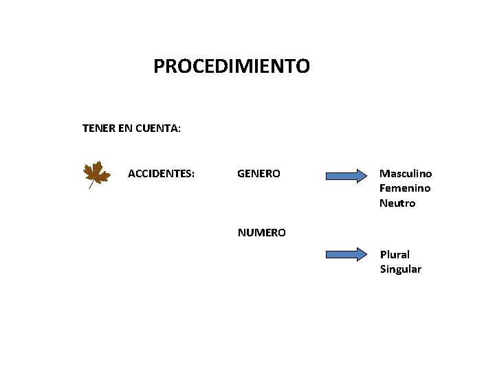 PROCEDIMIENTO TENER EN CUENTA: ACCIDENTES: GENERO Masculino Femenino Neutro NUMERO Plural Singular 
