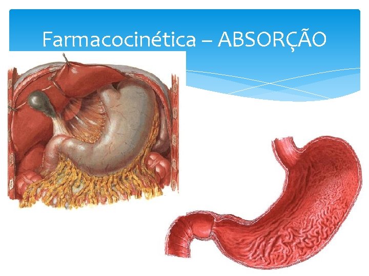 Farmacocinética – ABSORÇÃO Farmacocinética – ABSORÇÃO