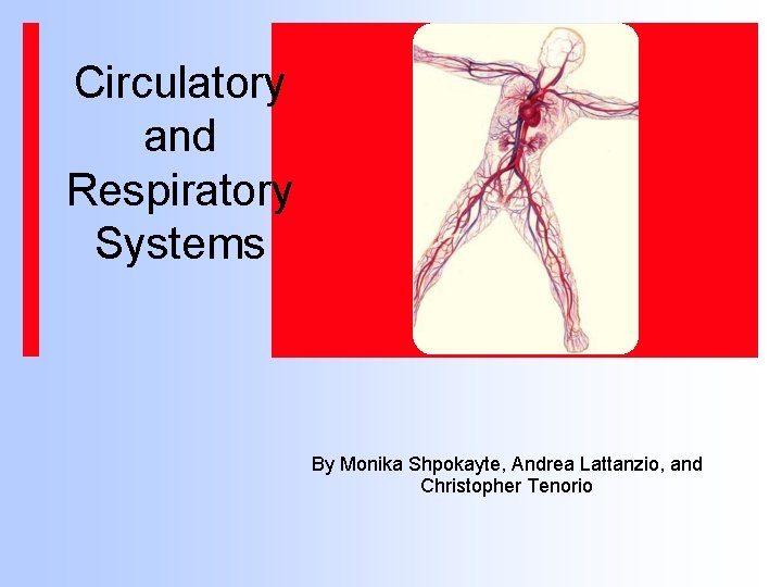 Circulatory and Respiratory Systems By Monika Shpokayte, Andrea Lattanzio, and Christopher Tenorio 