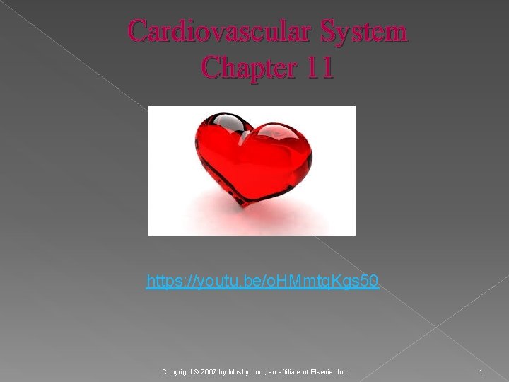 Cardiovascular System Chapter 11 https: //youtu. be/o. HMmtq. Kgs 50 Copyright © 2007 by
