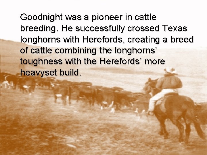 Goodnight was a pioneer in cattle breeding. He successfully crossed Texas longhorns with Herefords,