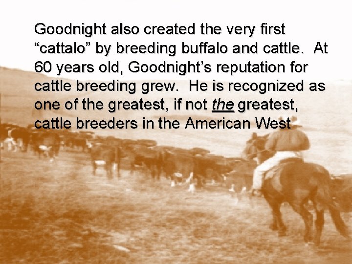 Goodnight also created the very first “cattalo” by breeding buffalo and cattle. At 60