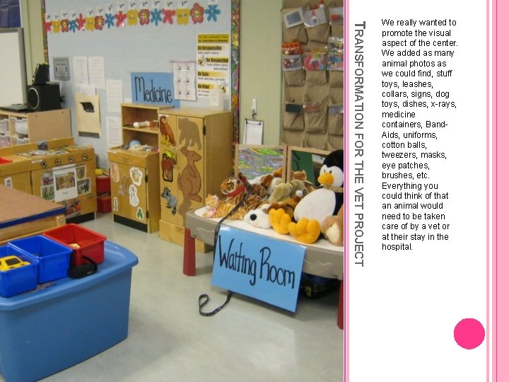 TRANSFORMATION FOR THE VET PROJECT We really wanted to promote the visual aspect of