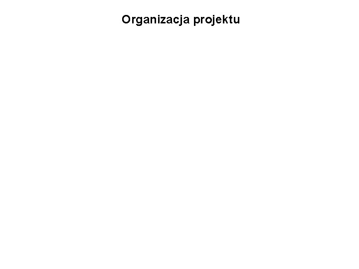 Organizacja projektu 