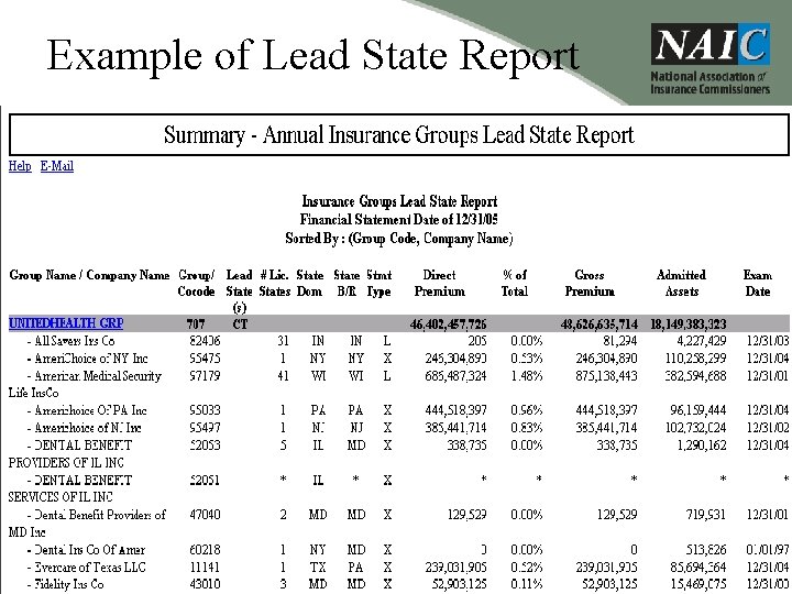 Example of Lead State Report 