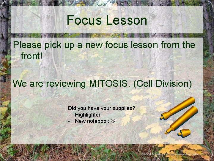 Focus Lesson Please pick up a new focus lesson from the front! We are