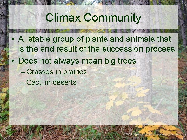 Climax Community • A stable group of plants and animals that is the end