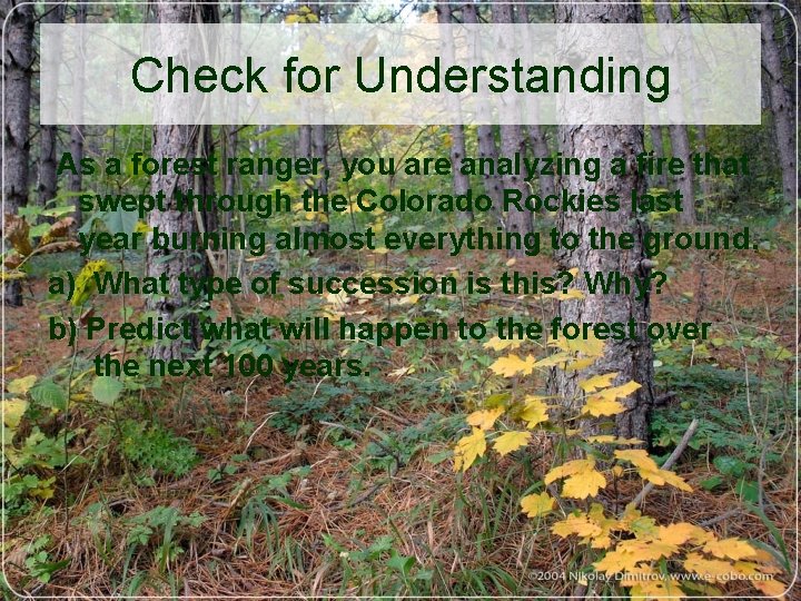 Check for Understanding As a forest ranger, you are analyzing a fire that swept