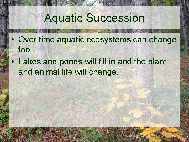 Aquatic Succession • Over time aquatic ecosystems can change too. • Lakes and ponds