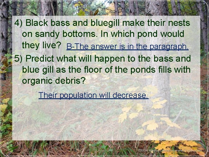 4) Black bass and bluegill make their nests on sandy bottoms. In which pond