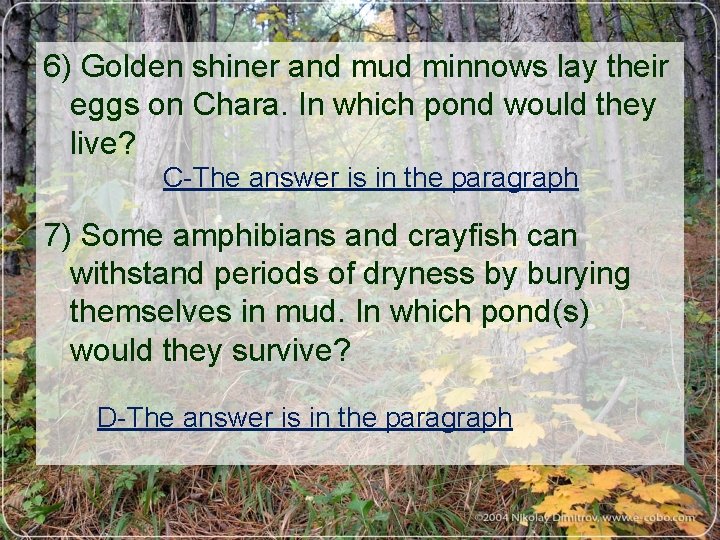 6) Golden shiner and mud minnows lay their eggs on Chara. In which pond