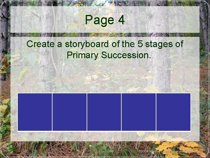 Page 4 Create a storyboard of the 5 stages of Primary Succession. 