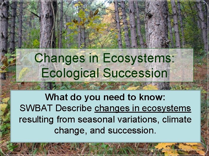 Changes in Ecosystems: Ecological Succession What do you need to know: SWBAT Describe changes