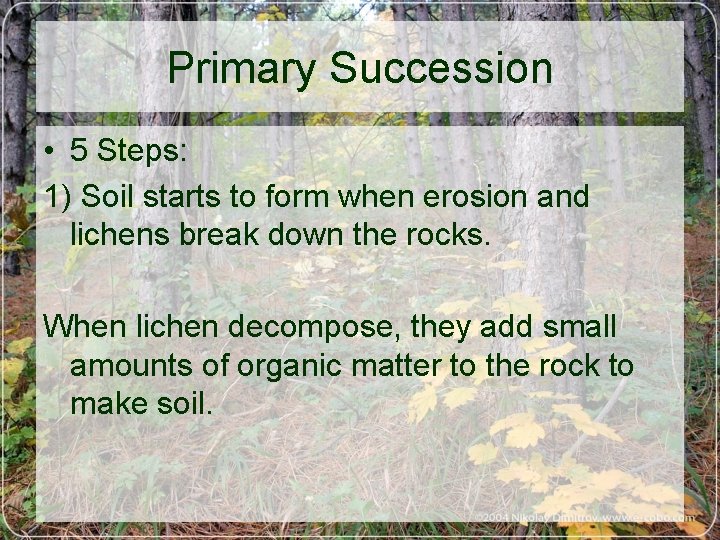 Primary Succession • 5 Steps: 1) Soil starts to form when erosion and lichens