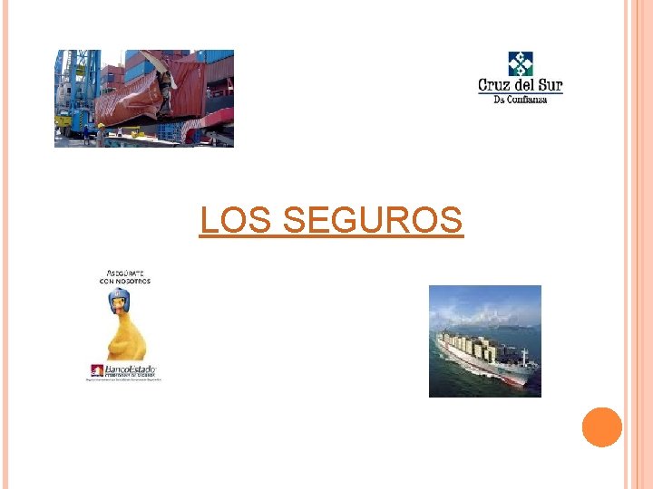 LOS SEGUROS 