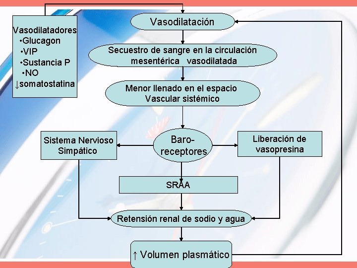 Vasodilatadores • Glucagon • VIP • Sustancia P • NO ↓somatostatina Vasodilatación Secuestro de