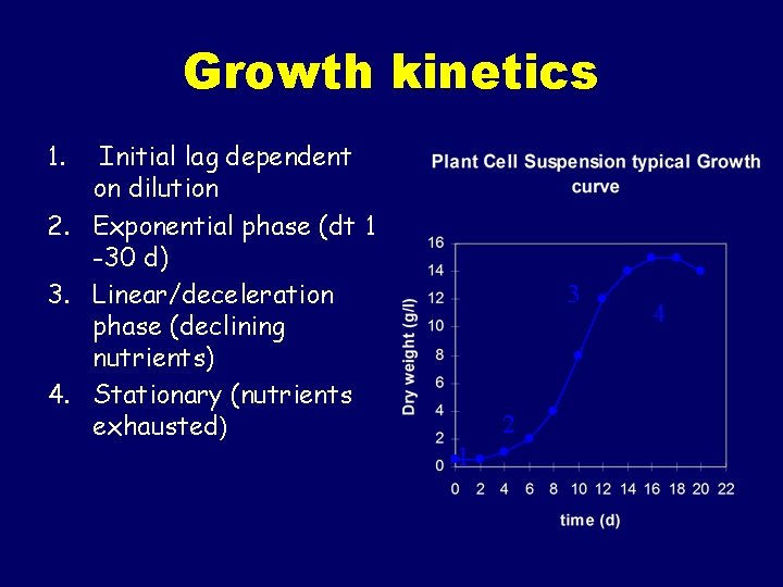 Growth kinetics 1. Initial lag dependent on dilution 2. Exponential phase (dt 1 -30