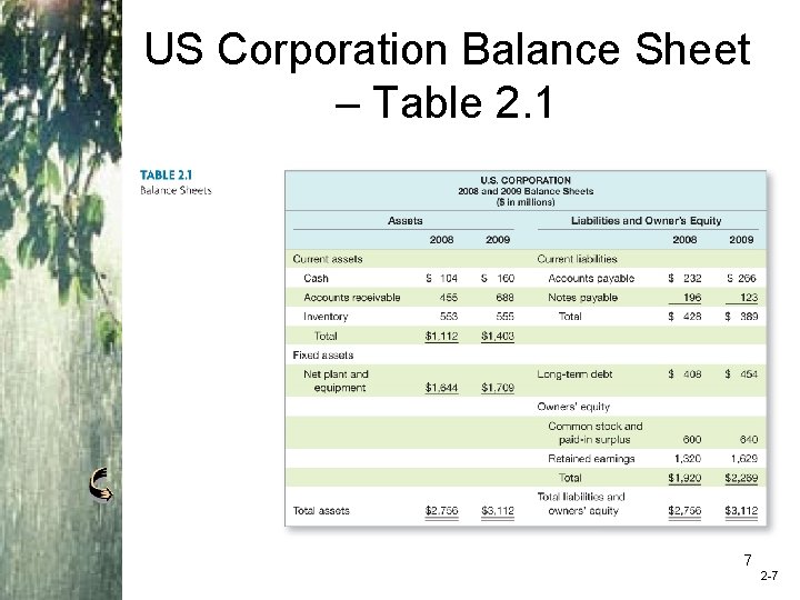 US Corporation Balance Sheet – Table 2. 1 Place Table 2. 1 (US Corp