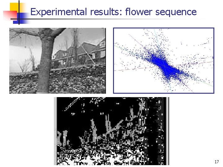 Experimental results: flower sequence 17 