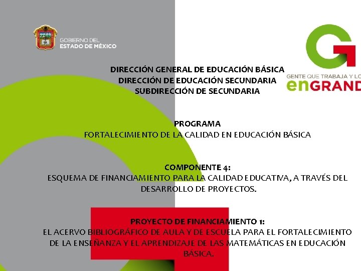 DIRECCIN GENERAL DE EDUCACIN BSICA DIRECCIN DE EDUCACIN