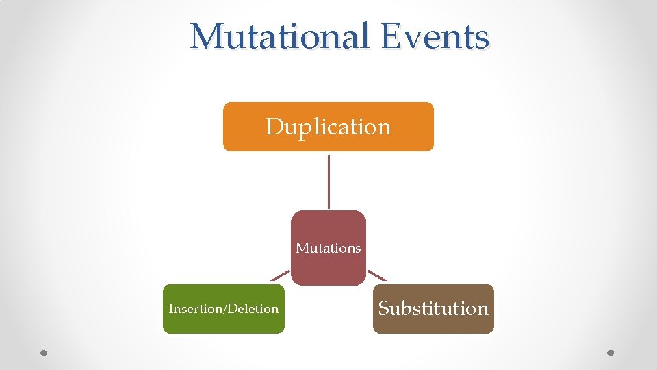  Mutational Events Duplication Mutations Insertion/Deletion Substitution 