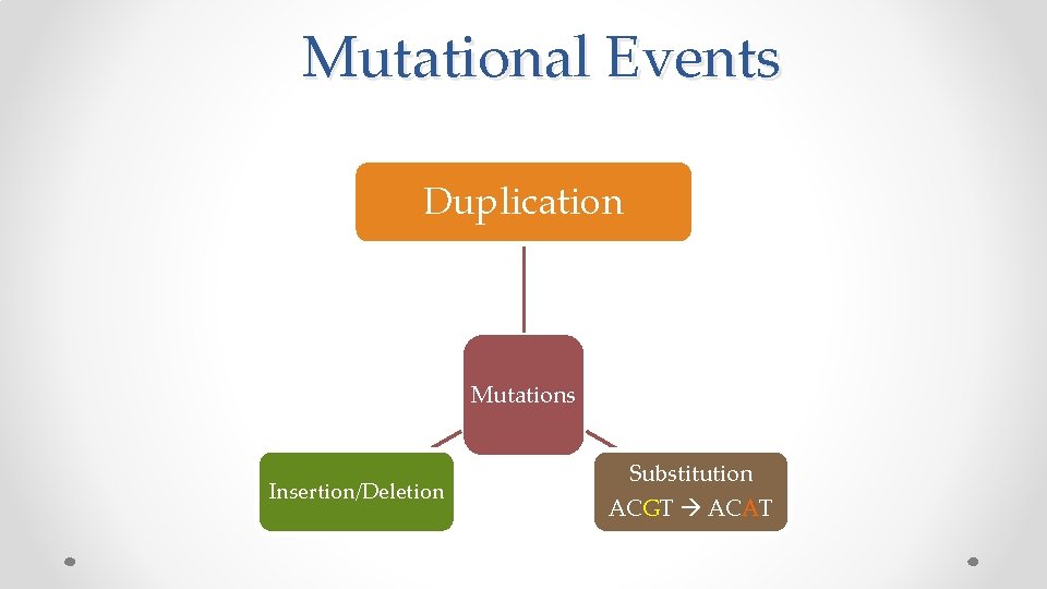  Mutational Events Duplication Mutations Insertion/Deletion Substitution ACGT ACAT 