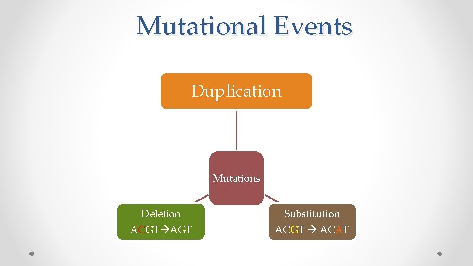  Mutational Events Duplication Mutations Deletion ACGT AGT Substitution ACGT ACAT 