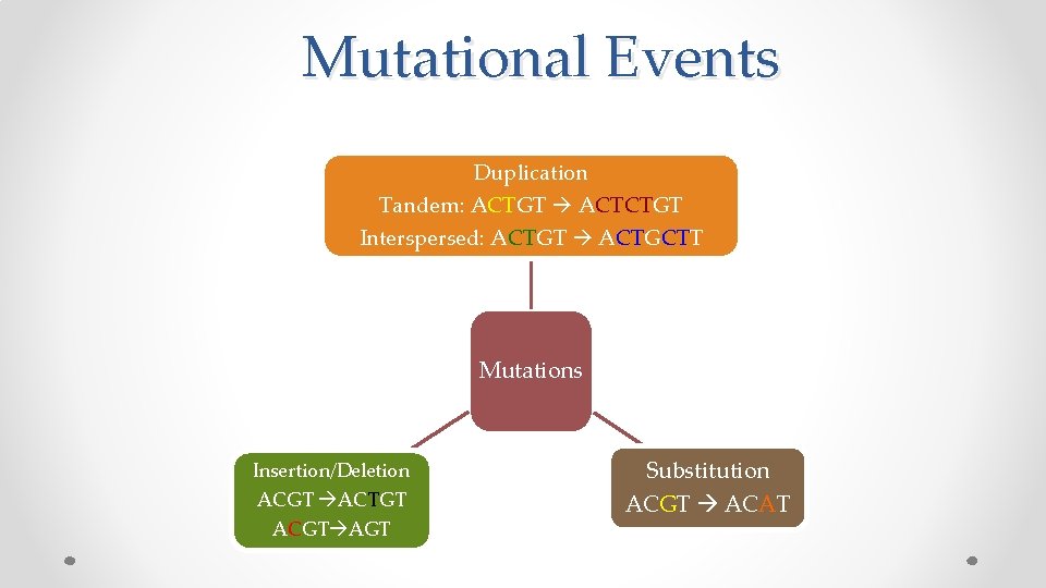  Mutational Events Duplication Tandem: ACTGT ACTCTGT Interspersed: ACTGT ACTGCTT Mutations Insertion/Deletion ACGT ACTGT