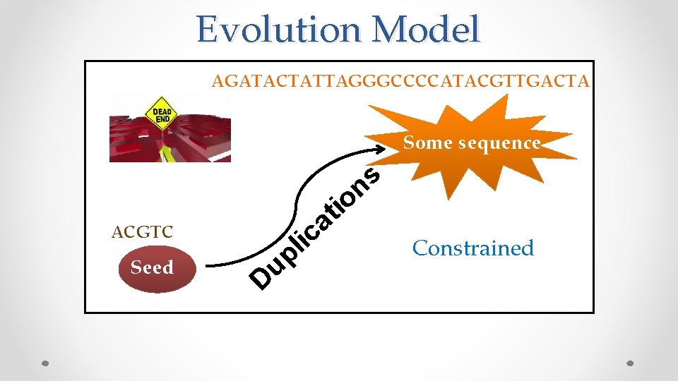 Evolution Model AGATACTATTAGGGCCCCATACGTTGACTA Some sequence a c ACGTC Seed it o u D i