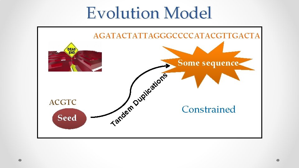 Evolution Model AGATACTATTAGGGCCCCATACGTTGACTA Some sequence s n o ti a c i ACGTC Seed