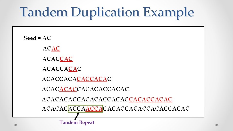 Tandem Duplication Example Seed = AC ACACCACACACCACACACACCACACACCACACCAACCACACCACAC Tandem Repeat 