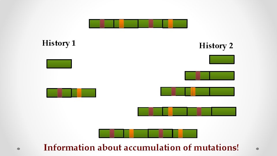 History 1 History 2 Information about accumulation of mutations! 