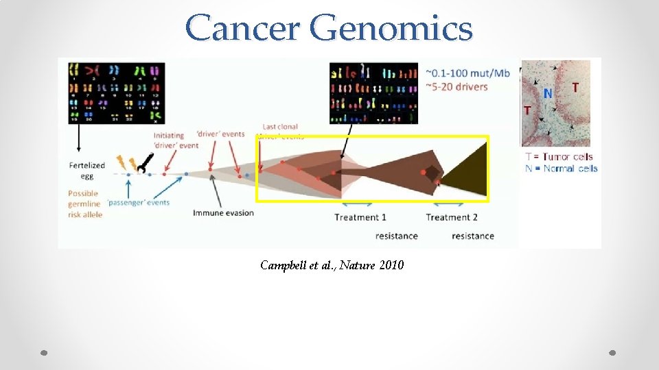 Cancer Genomics Campbell et al. , Nature 2010 