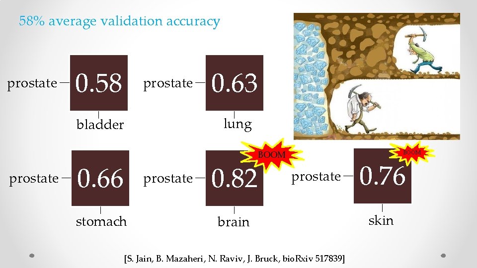 58% average validation accuracy prostate 0. 58 prostate lung bladder prostate 0. 63 BOOM