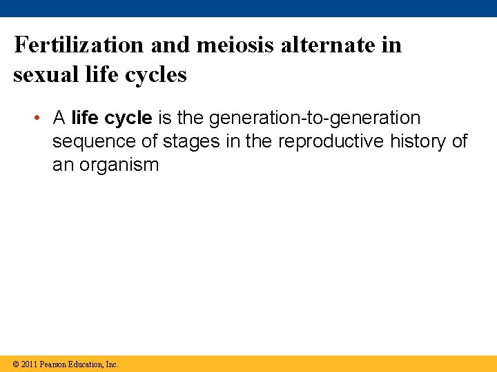 Fertilization and meiosis alternate in sexual life cycles • A life cycle is the