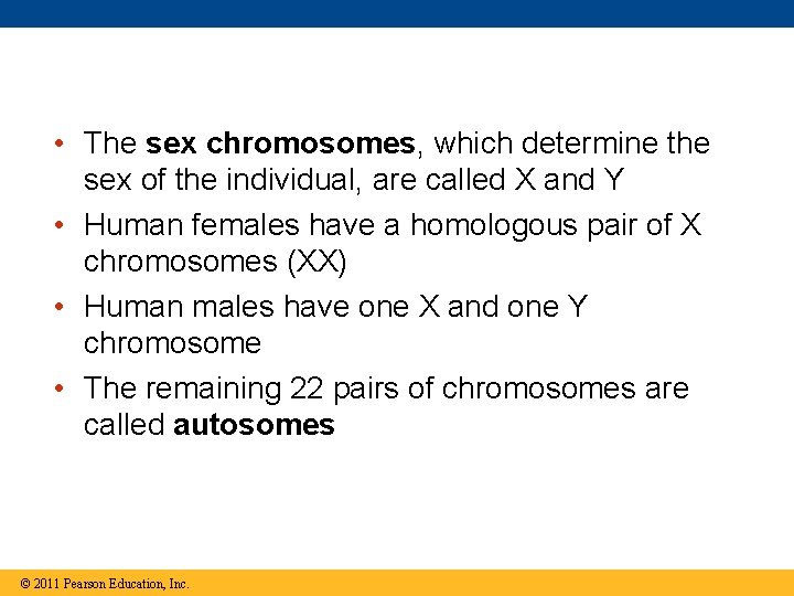  • The sex chromosomes, which determine the sex of the individual, are called