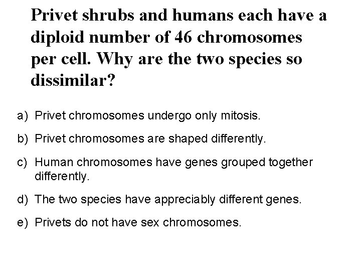 Privet shrubs and humans each have a diploid number of 46 chromosomes per cell.