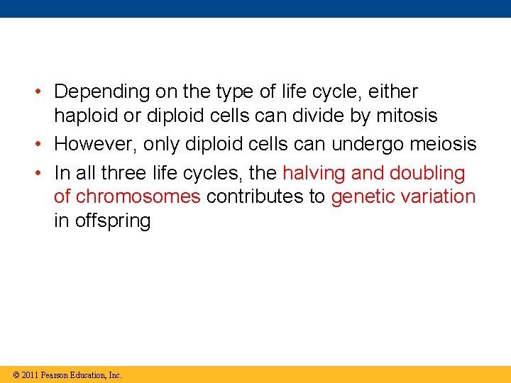  • Depending on the type of life cycle, either haploid or diploid cells
