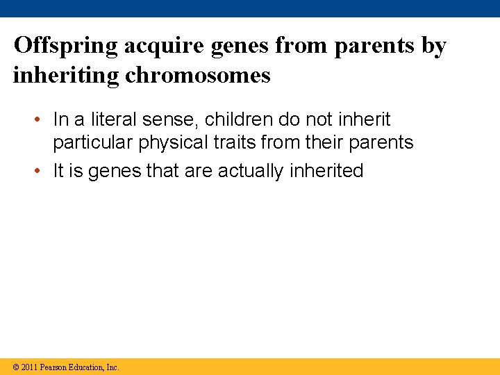 Offspring acquire genes from parents by inheriting chromosomes • In a literal sense, children