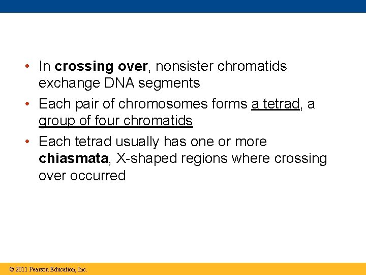  • In crossing over, nonsister chromatids exchange DNA segments • Each pair of