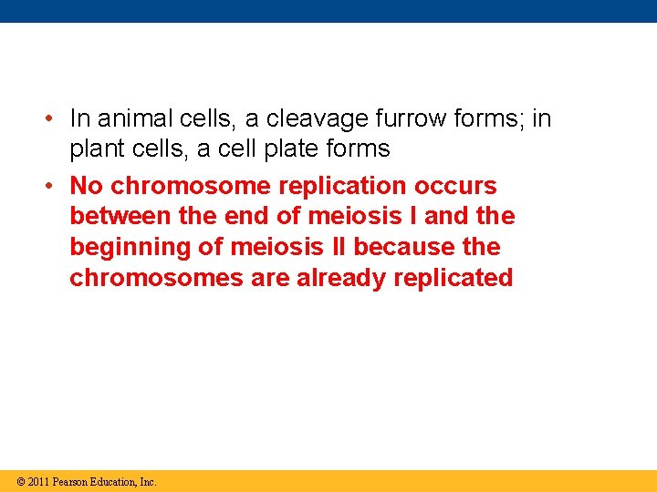  • In animal cells, a cleavage furrow forms; in plant cells, a cell