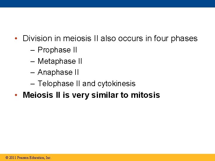  • Division in meiosis II also occurs in four phases – – Prophase